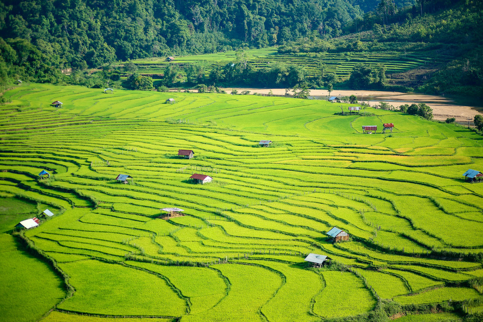 Kinh nghiệm du lịch Măng Đen – Kon Tum toàn tập.